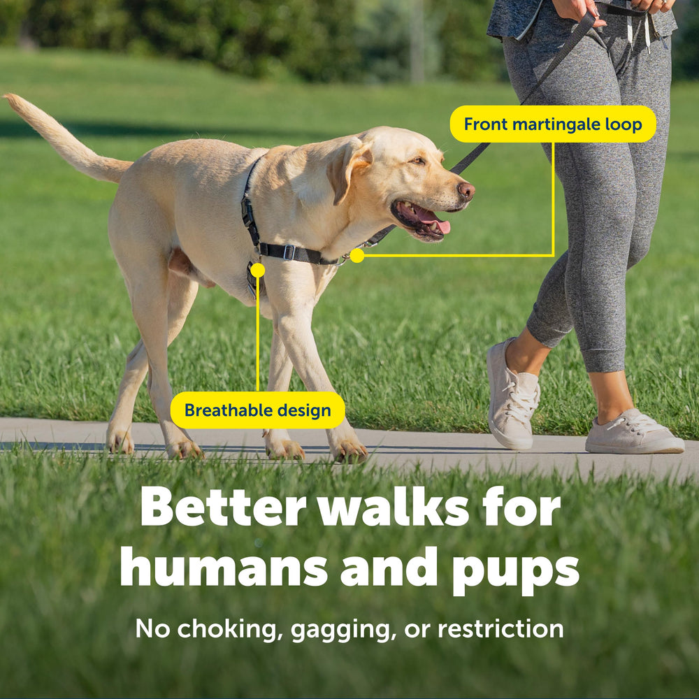 PetSafe Easy Walk Harness color-coded belly strap simplifies setup and use