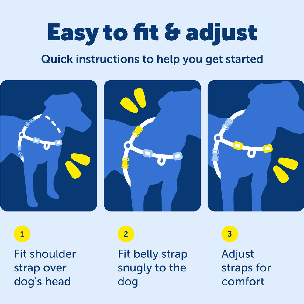 PetSafe Easy Walk Harness in use during training sessions to reduce pulling