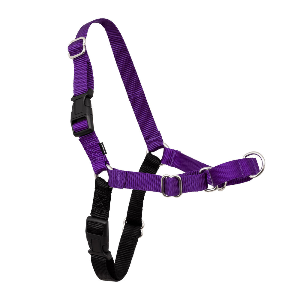 PetSafe Easy Walk harness front view with front chest attachment for gentle redirect during walks