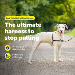 PetSafe Easy Walk harness martingale loop design visible on chest area to reduce pulling.