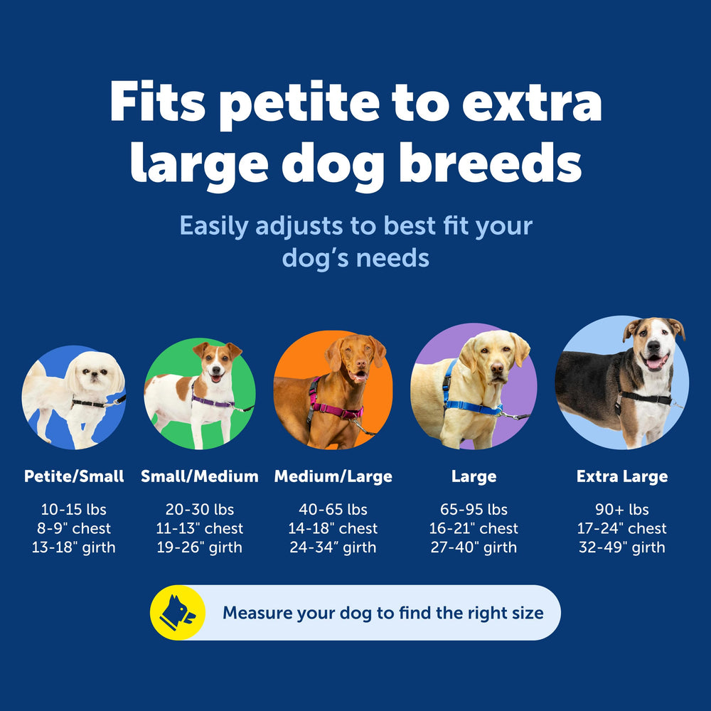 PetSafe Easy Walk martingale loop redirects pulling with gentle pressure.