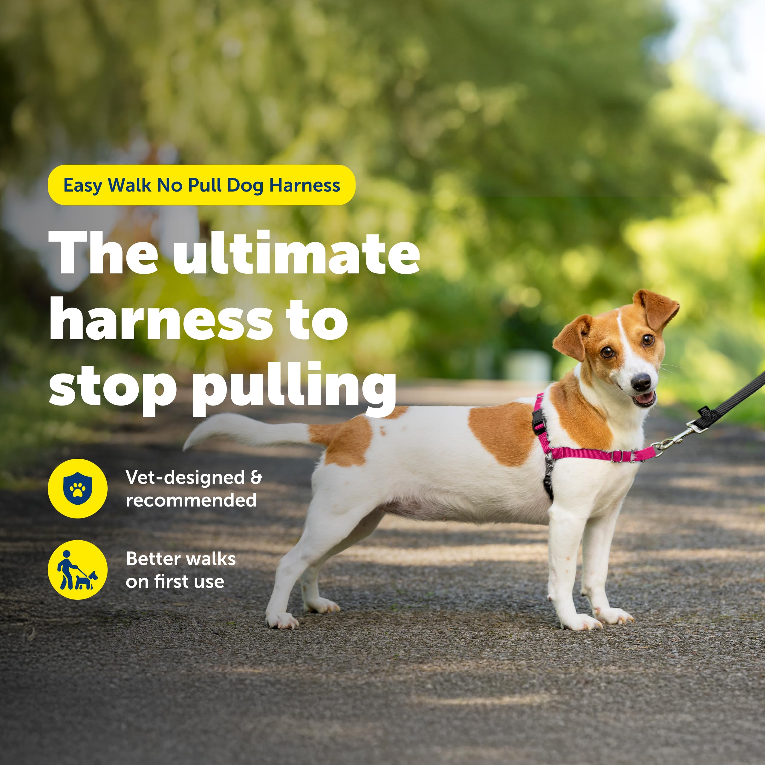 PetSafe Easy Walk Harness side view shows adjustable, comfortable fit.