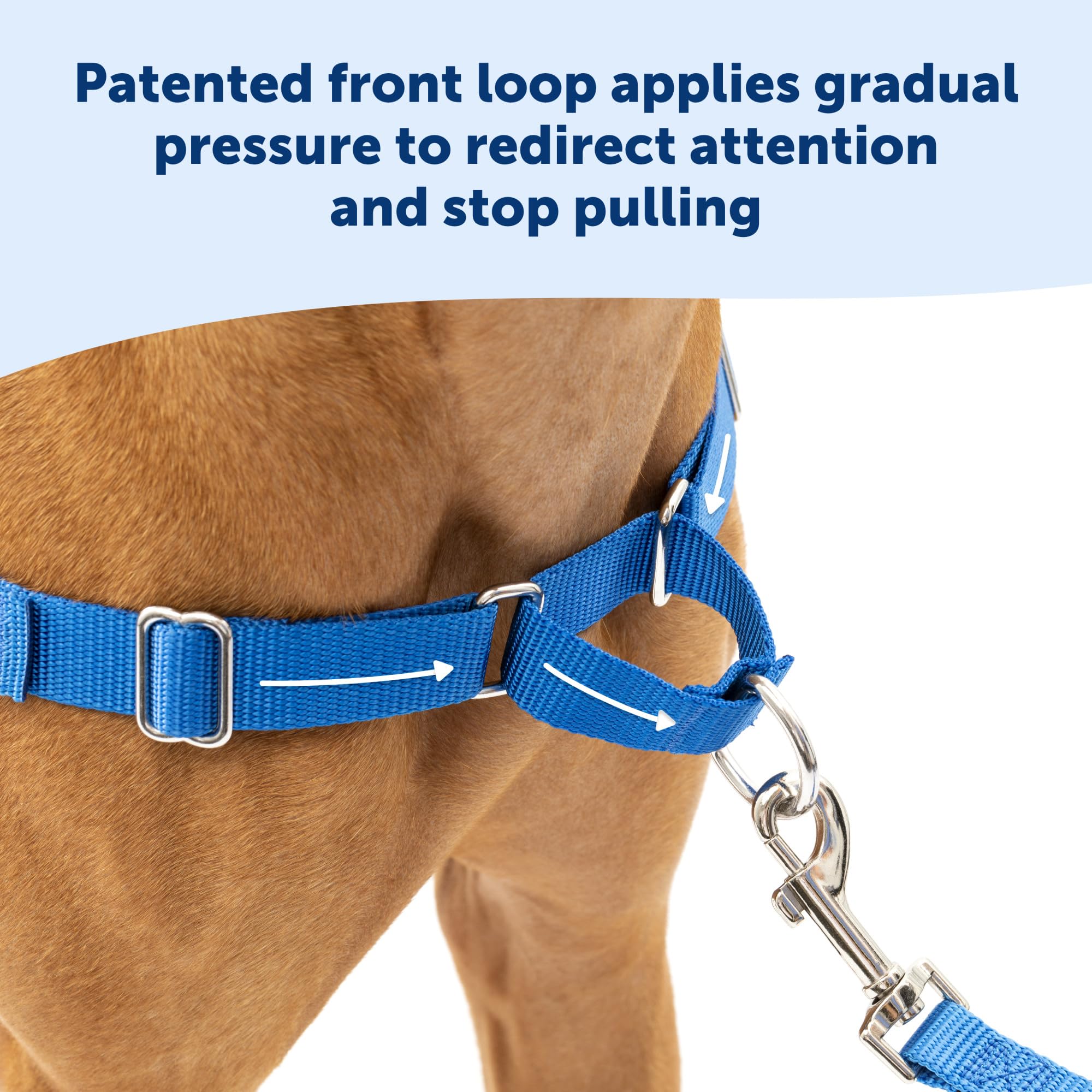 PetSafe Easy Walk con hebillas rápidas para colocar y quitar con facilidad.