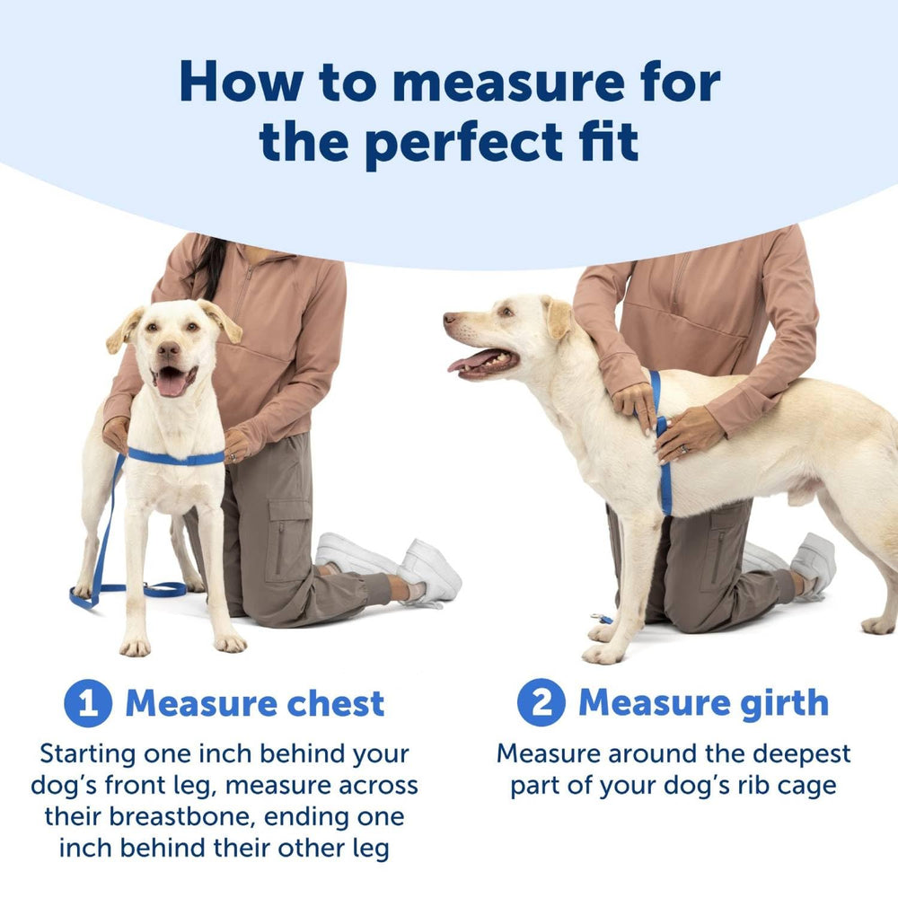 PetSafe Easy Walk es fácil de poner y quitar, recomendado por veterinarios y entrenadores.