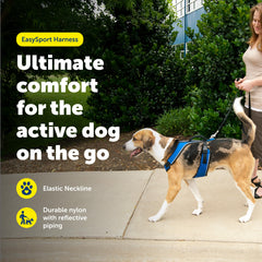 PetSafe EasySport back view highlighting secure fit for jogging adventures.