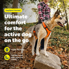 Petsafe EasySport harness shows adjustable elastic neckline for flexible movement