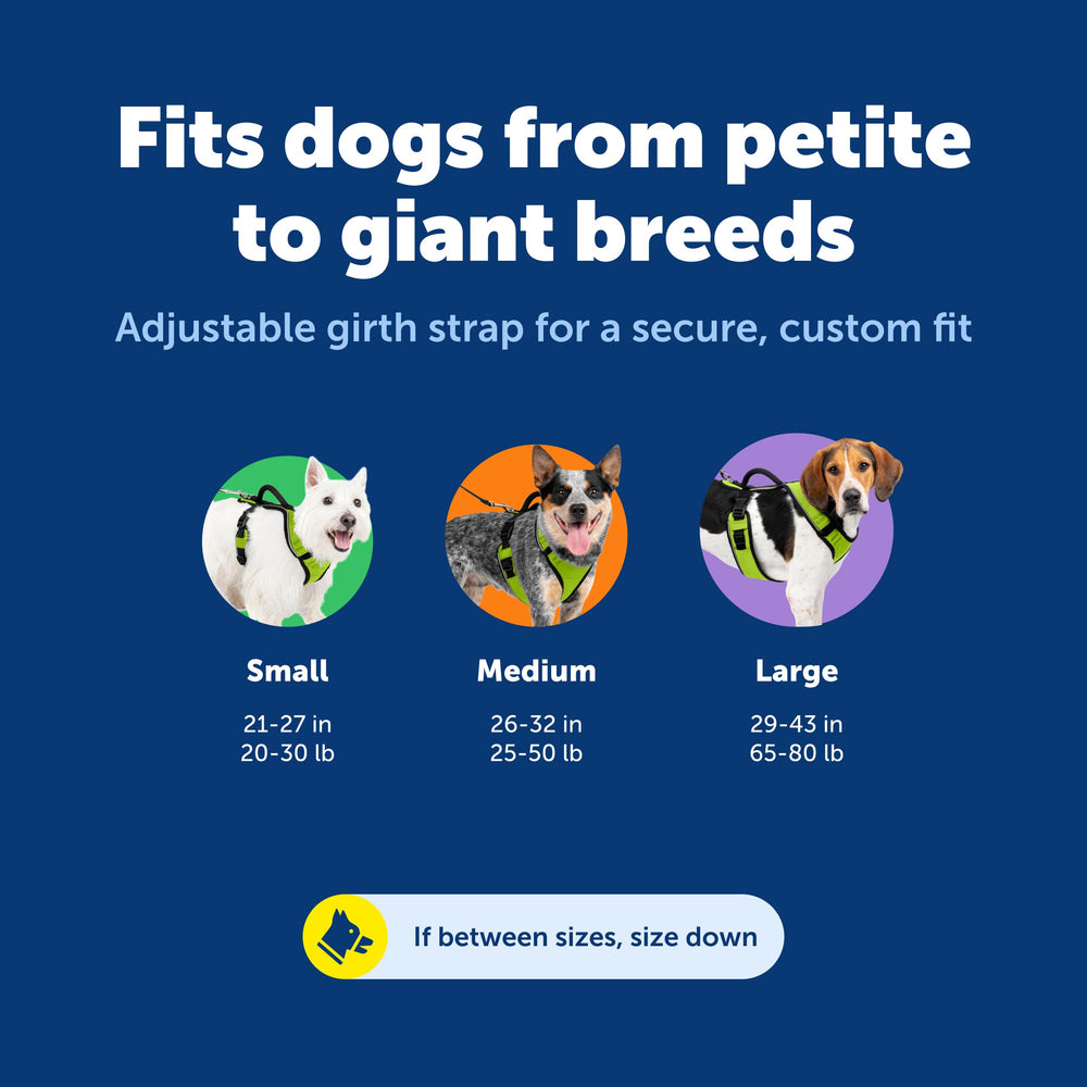 Petsafe EasySport reflective piping enhances nighttime visibility for safer outings