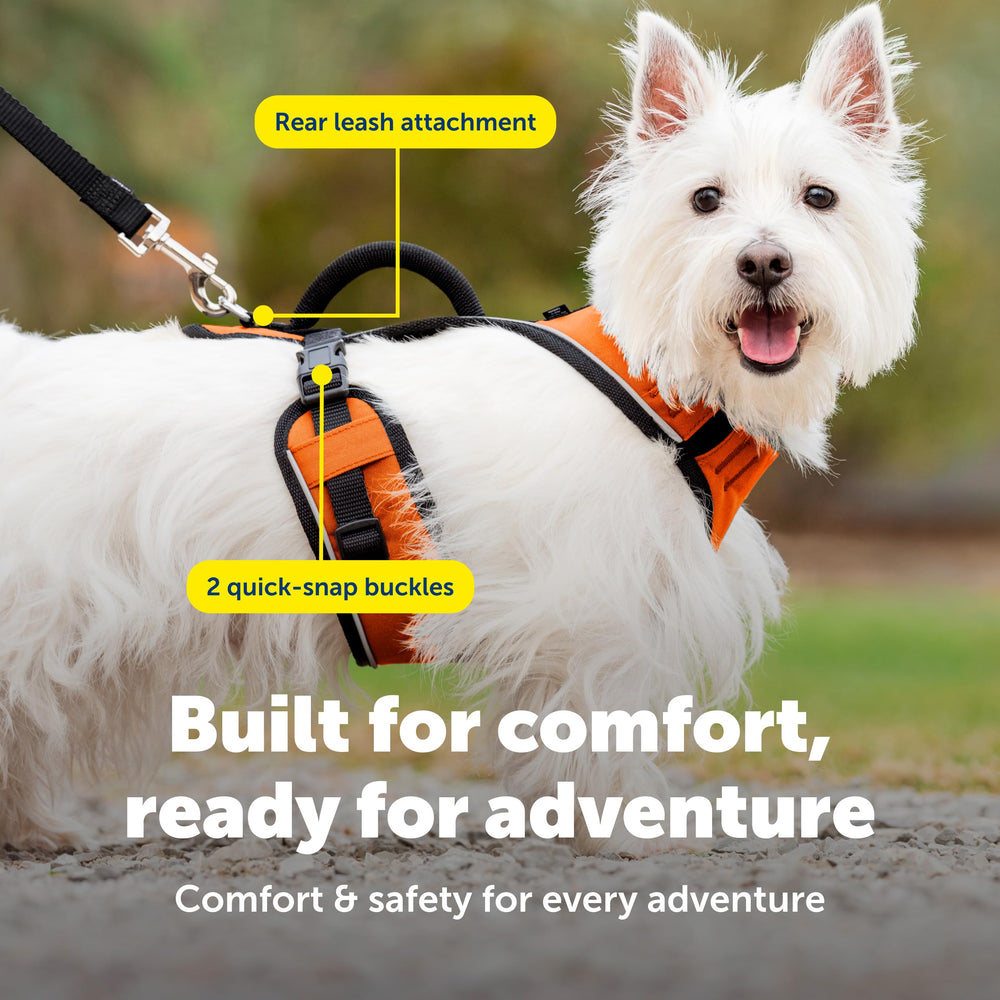 Petsafe EasySport top-handle provides extra safety control during busy walks