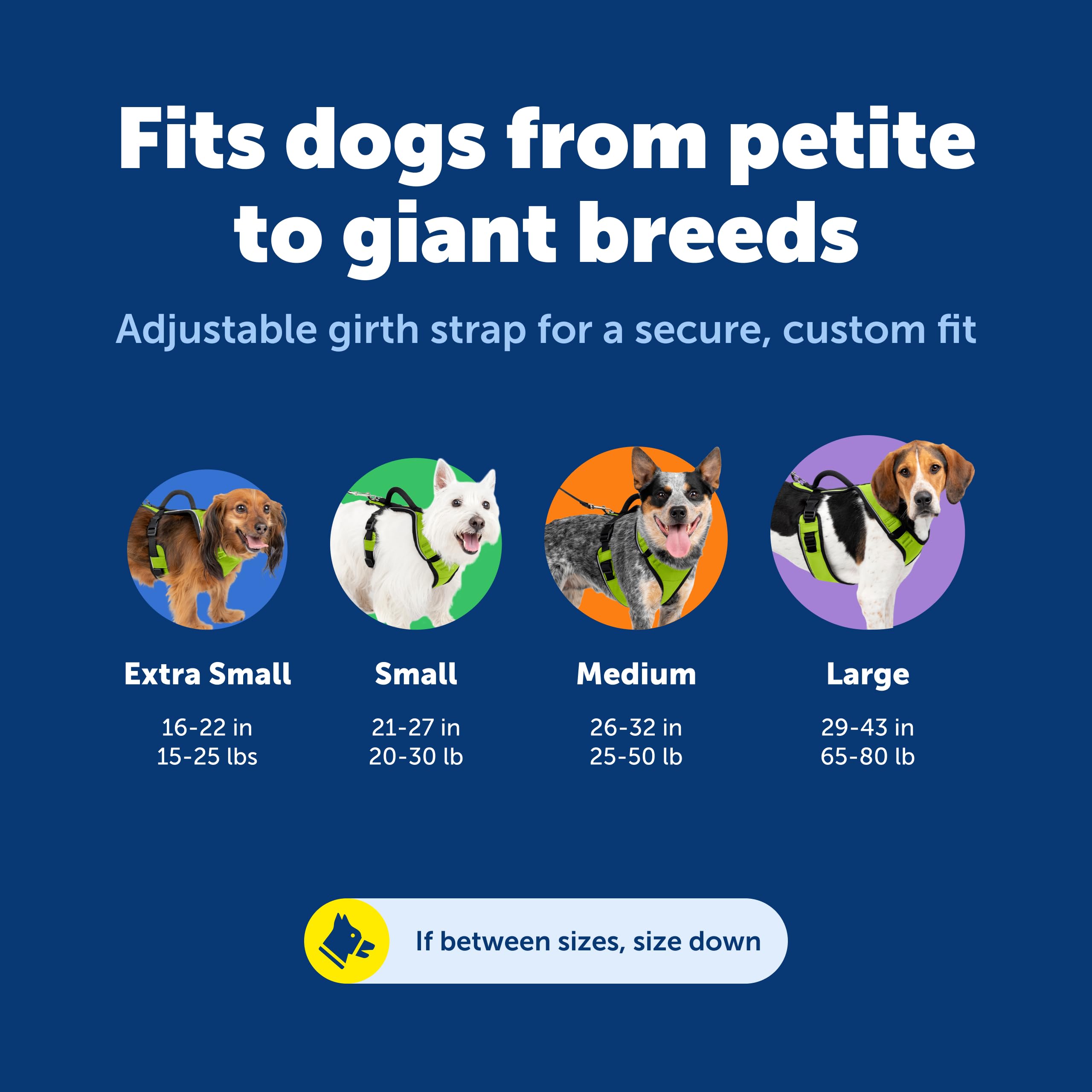PetSafe EasySport top handle provides quick control on busy walks.