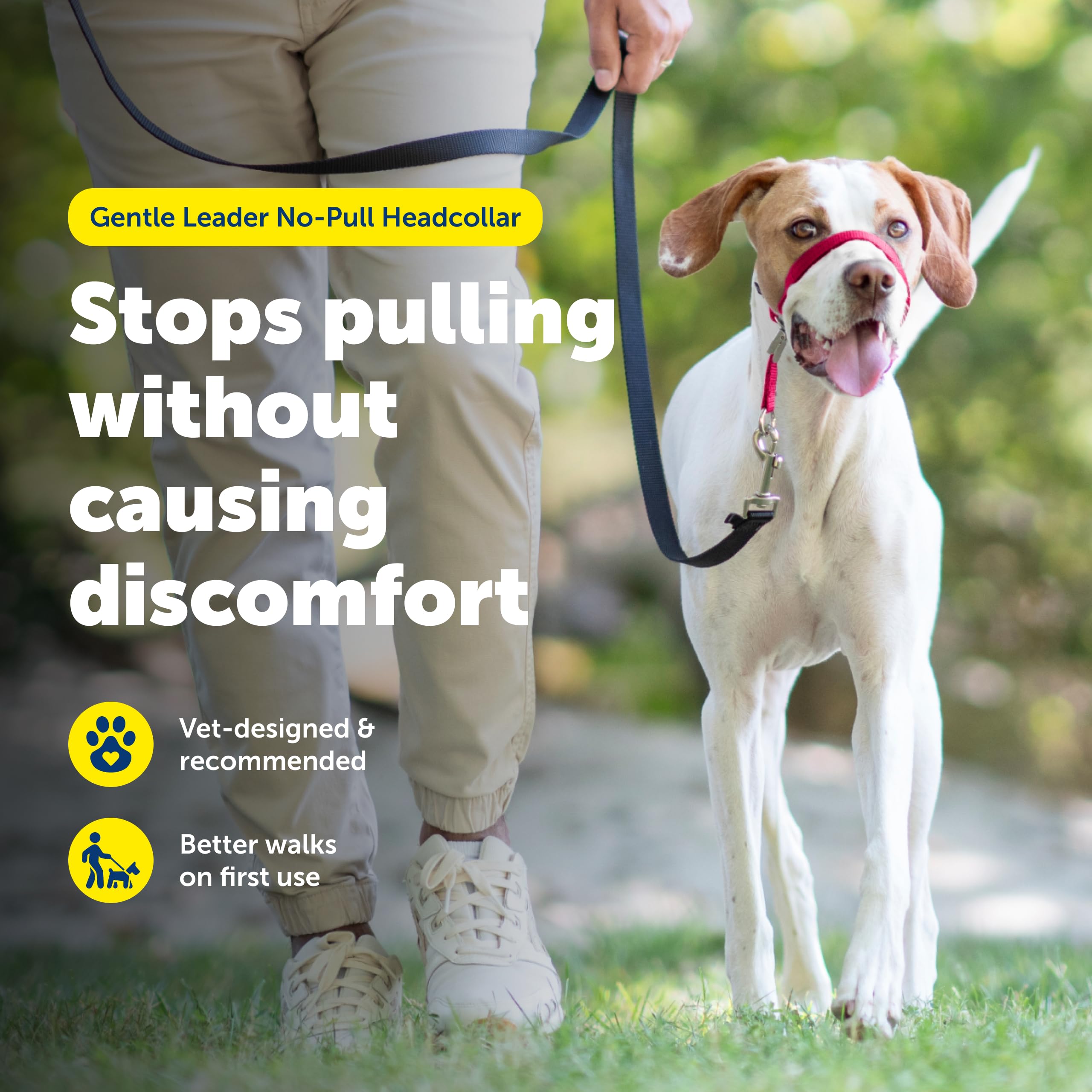 Petsafe Gentle Leader adjustable nose-loop provides a secure, comfortable fit for training sessions.