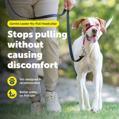 Petsafe Gentle Leader adjustable nose-loop provides a secure, comfortable fit for training sessions.