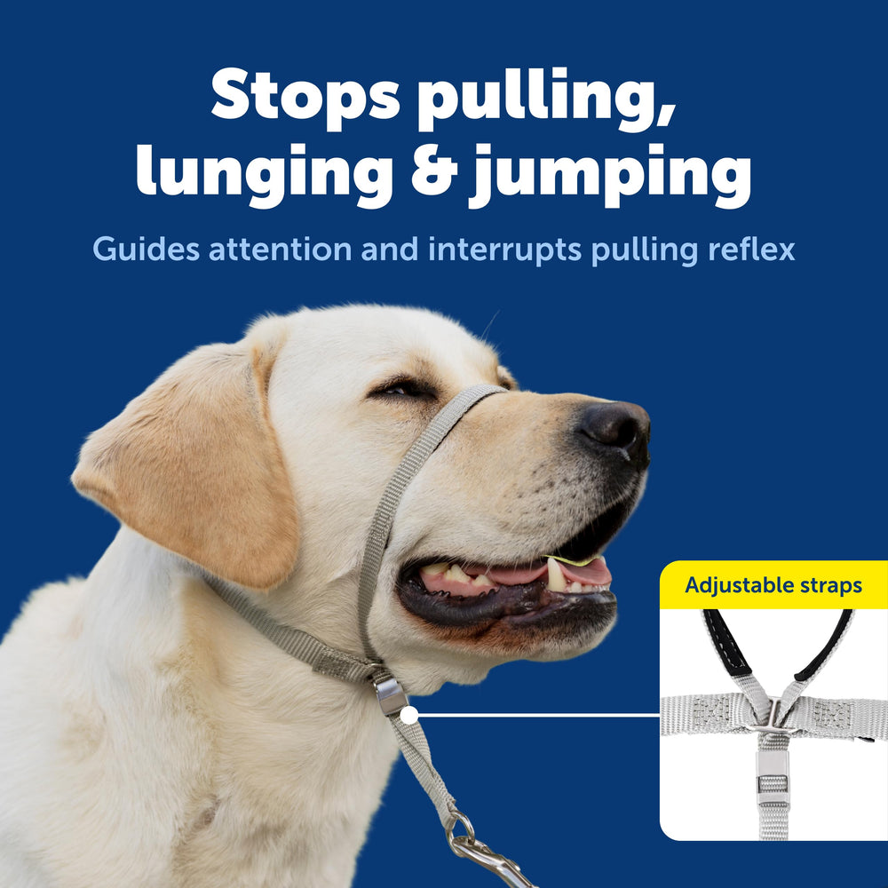 PetSafe Gentle Leader padded nose loop detail supports gentle redirection