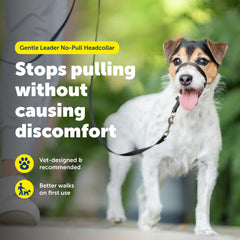 PetSafe Gentle Leader padded nose loop close-up showing comfortable fit and breathing room.