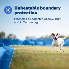 Petsafe Guardian app tracking screen displaying live location and boundaries.