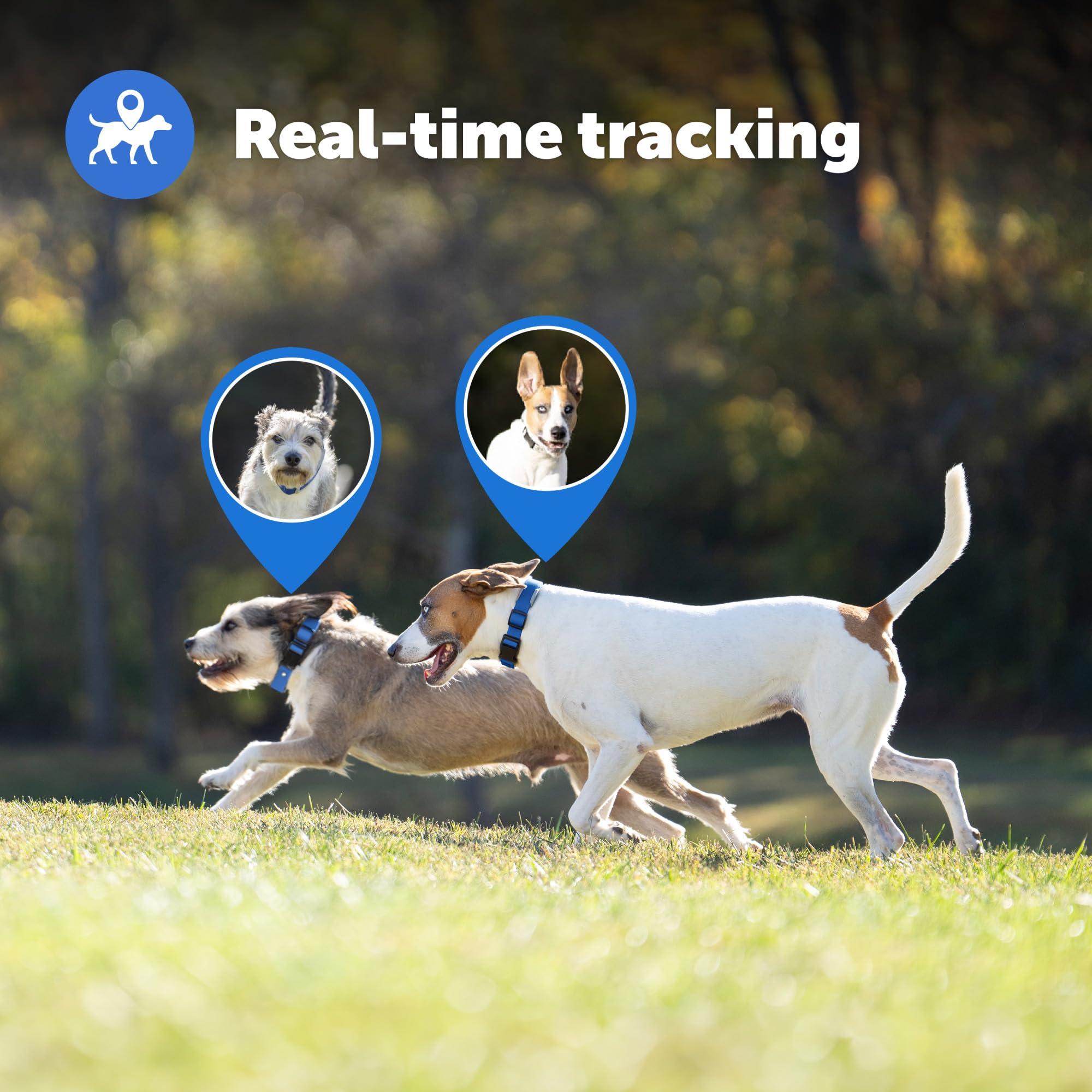 Petsafe Guardian battery life displays up to 72 hours for long outdoor days.