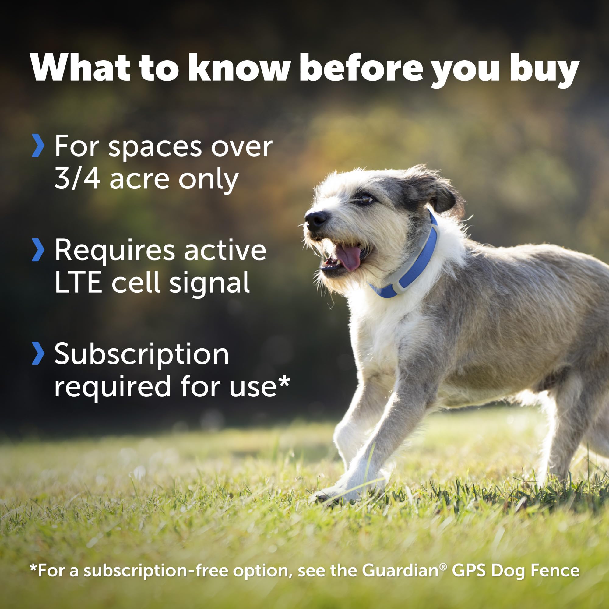 Petsafe Guardian boundaries setup UI illustrating quick virtual fence creation.