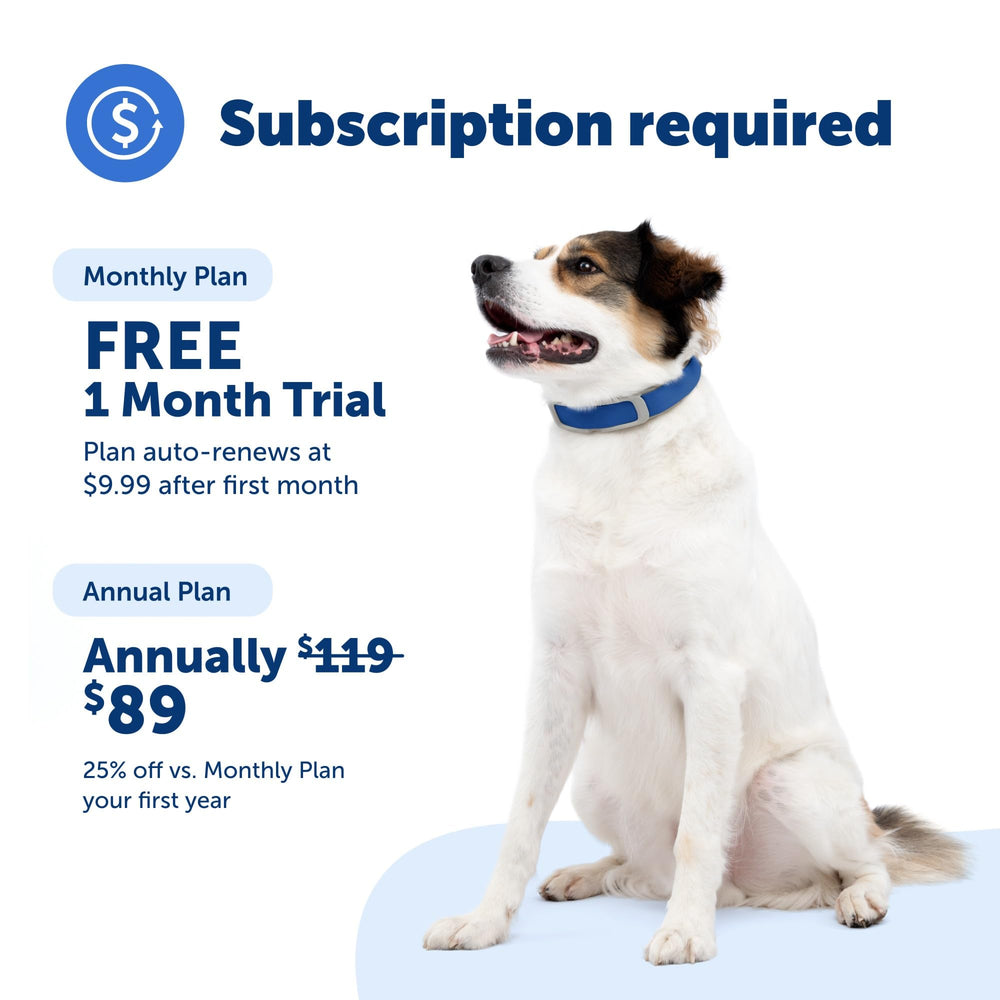 Petsafe Guardian GPS Collar adjustable fit ensures comfort for dogs of all sizes.
