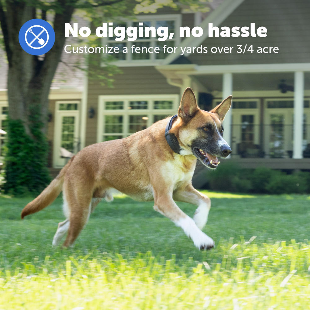 PetSafe Guardian collar battery indicator highlights five-day power