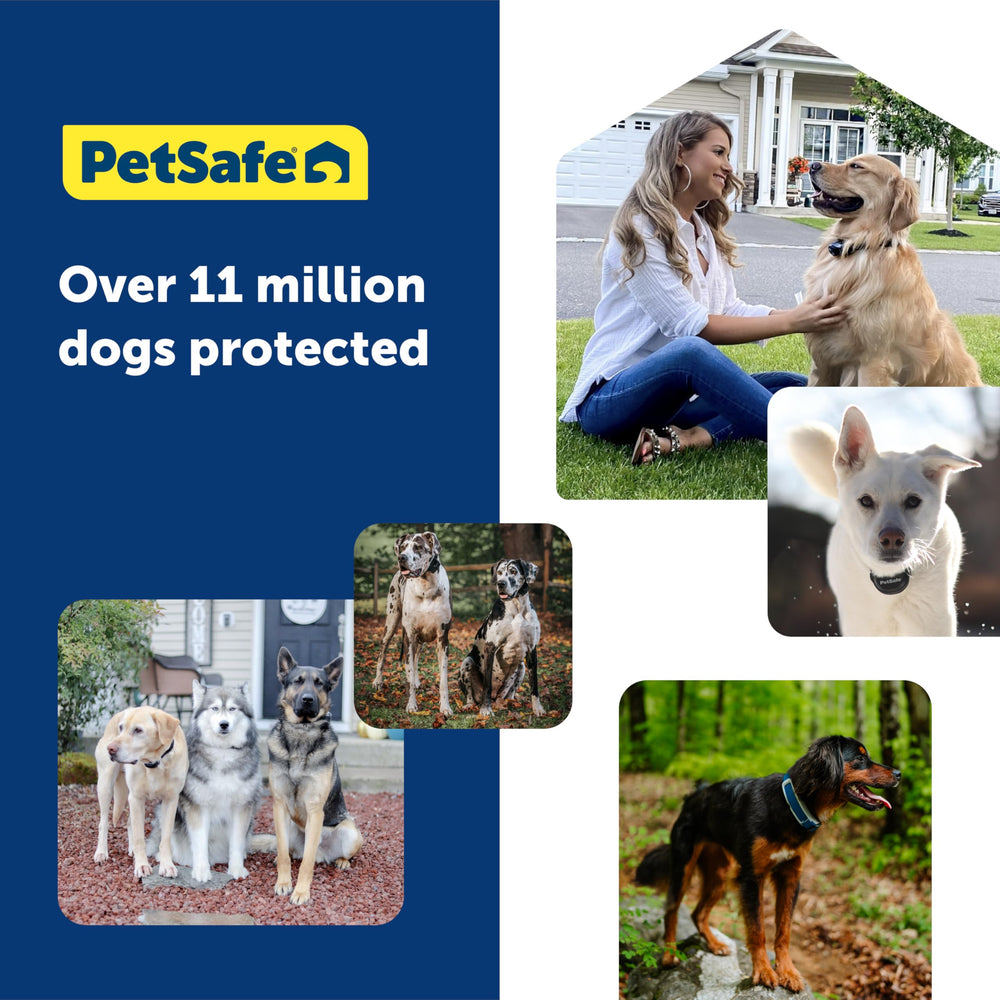 PetSafe support team available for expert help