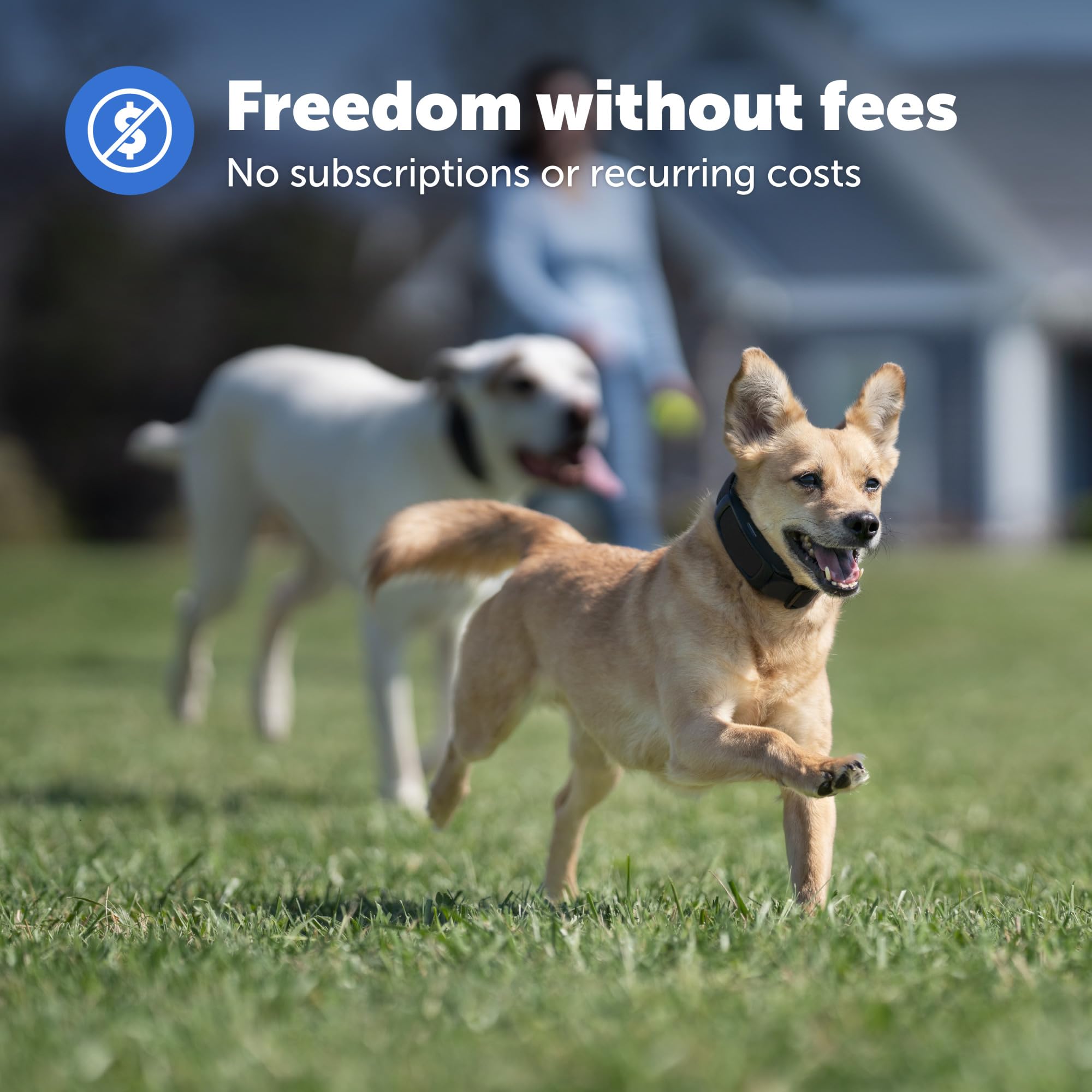 PetSafe Guardian wireless fence demo shows wire-free containment