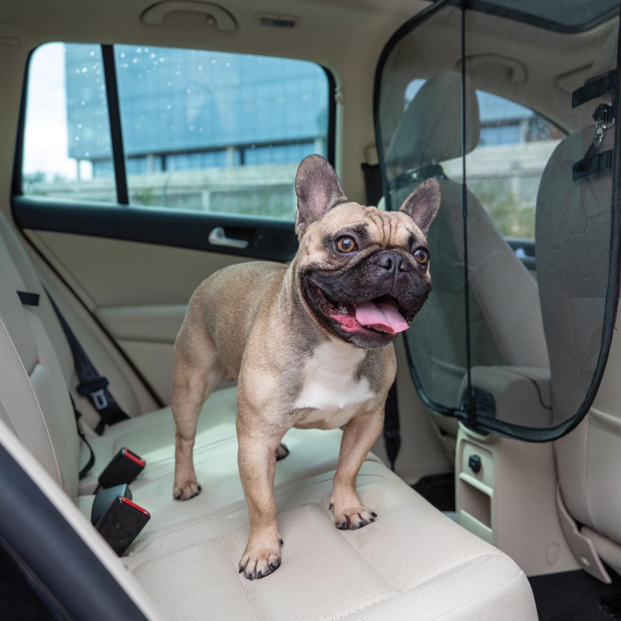 PetSafe Happy Ride barrier back-seat view demonstrates containment during rides.