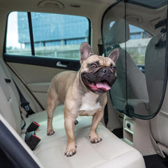 PetSafe Happy Ride barrier back-seat view demonstrates containment during rides.