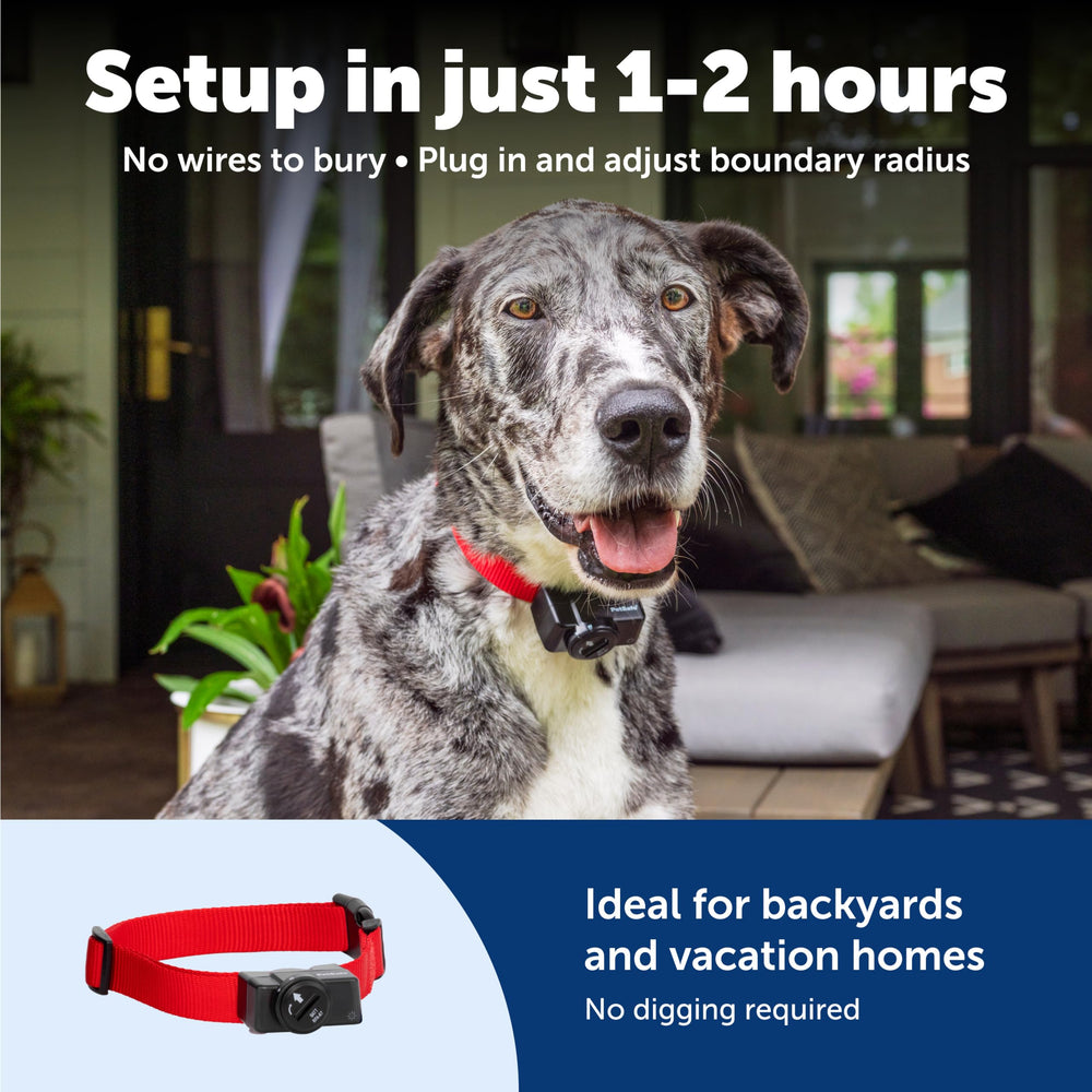 PetSafe multi-pet system ready to add extra collars