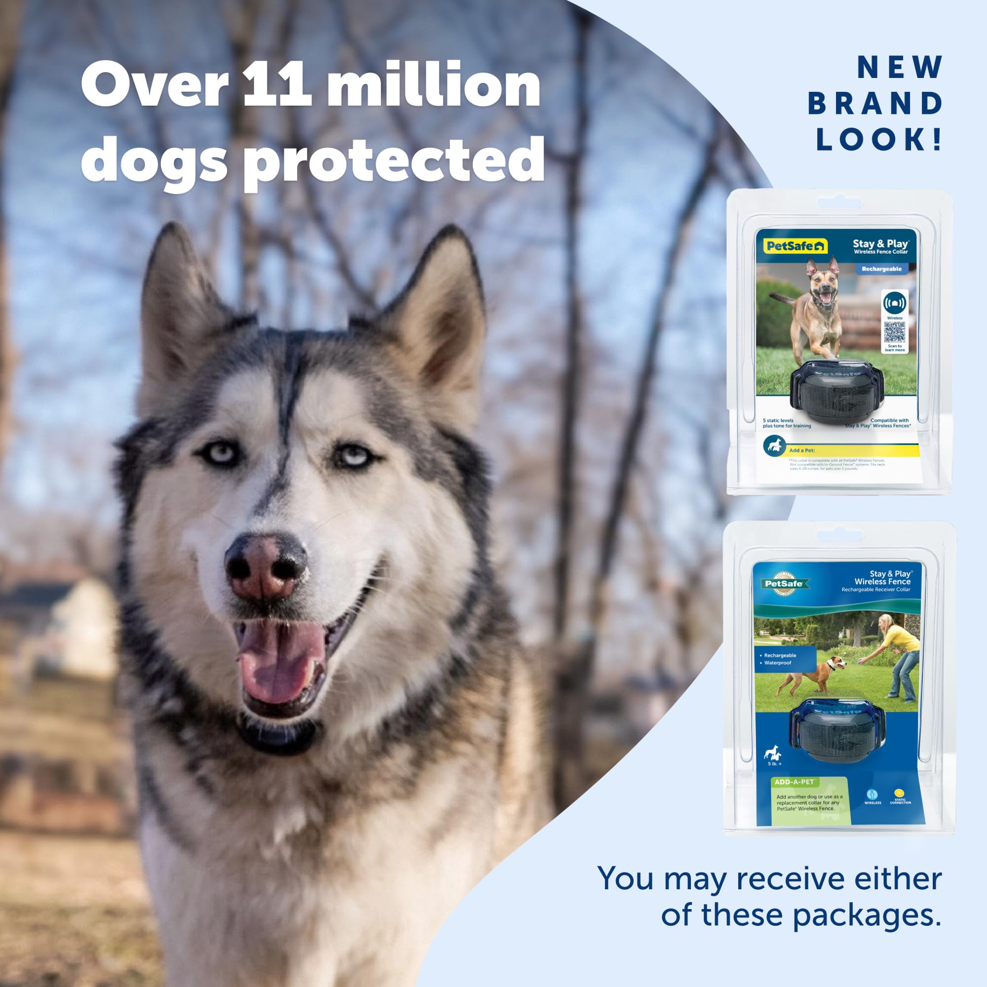 Petsafe Stay and Play in backyard scene supporting multiple pets