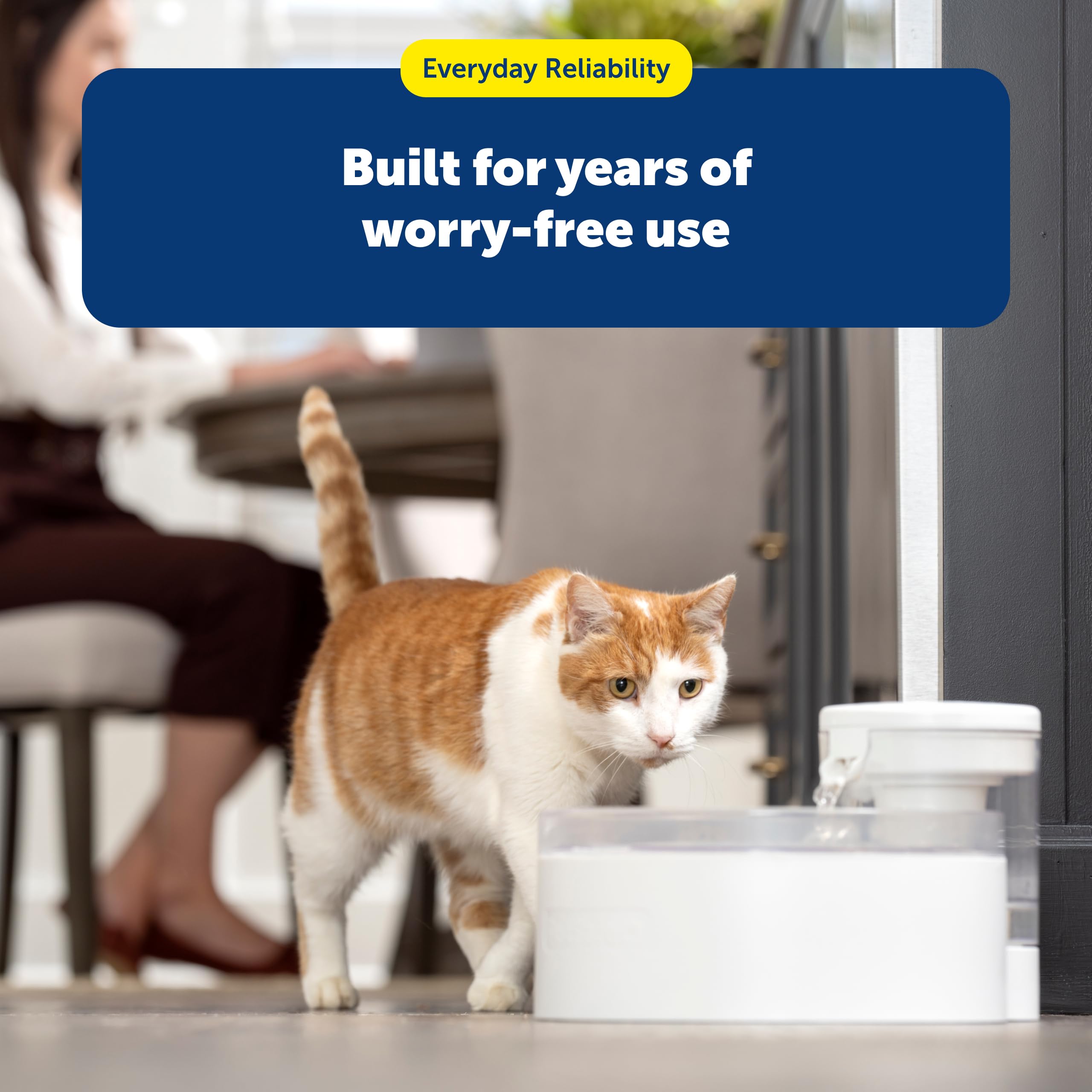 PetSafe Outlast Cat Fountain 90 oz capacity supports households with multiple cats