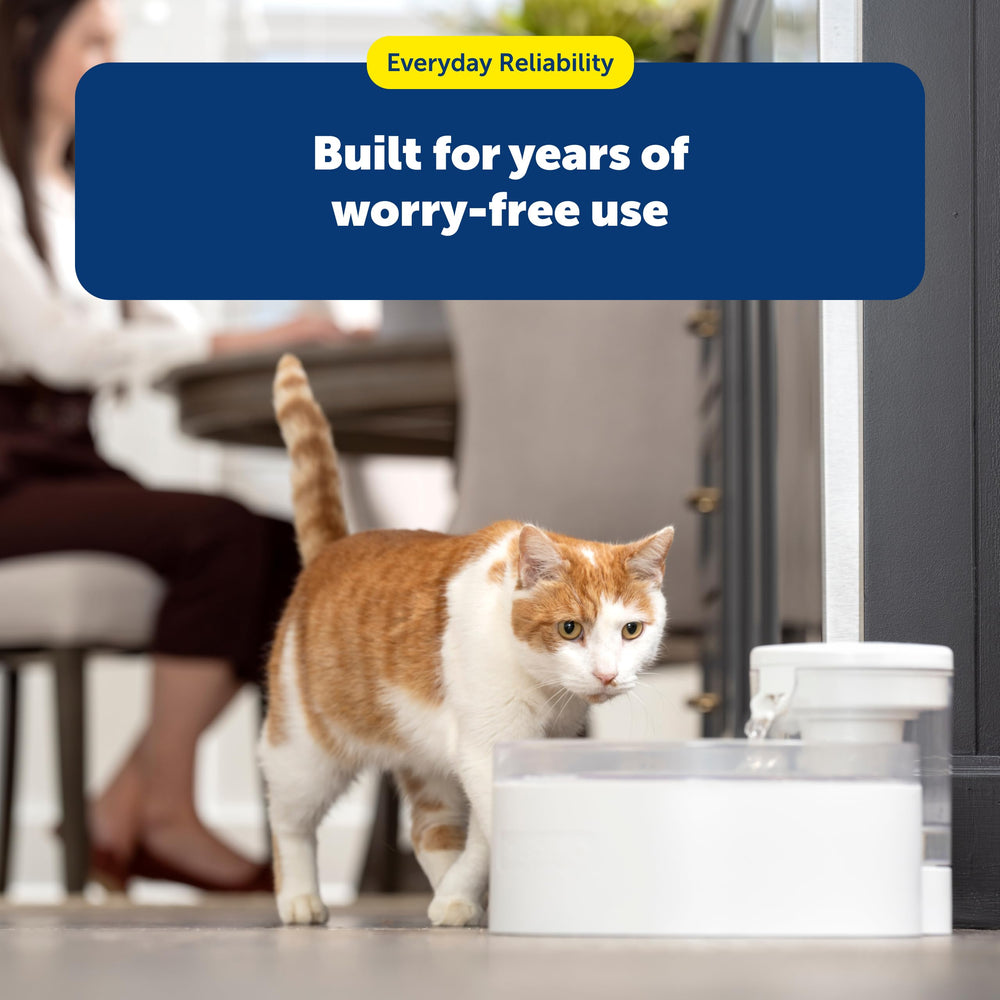 PetSafe Outlast Cat Fountain 90 oz capacity supports households with multiple cats