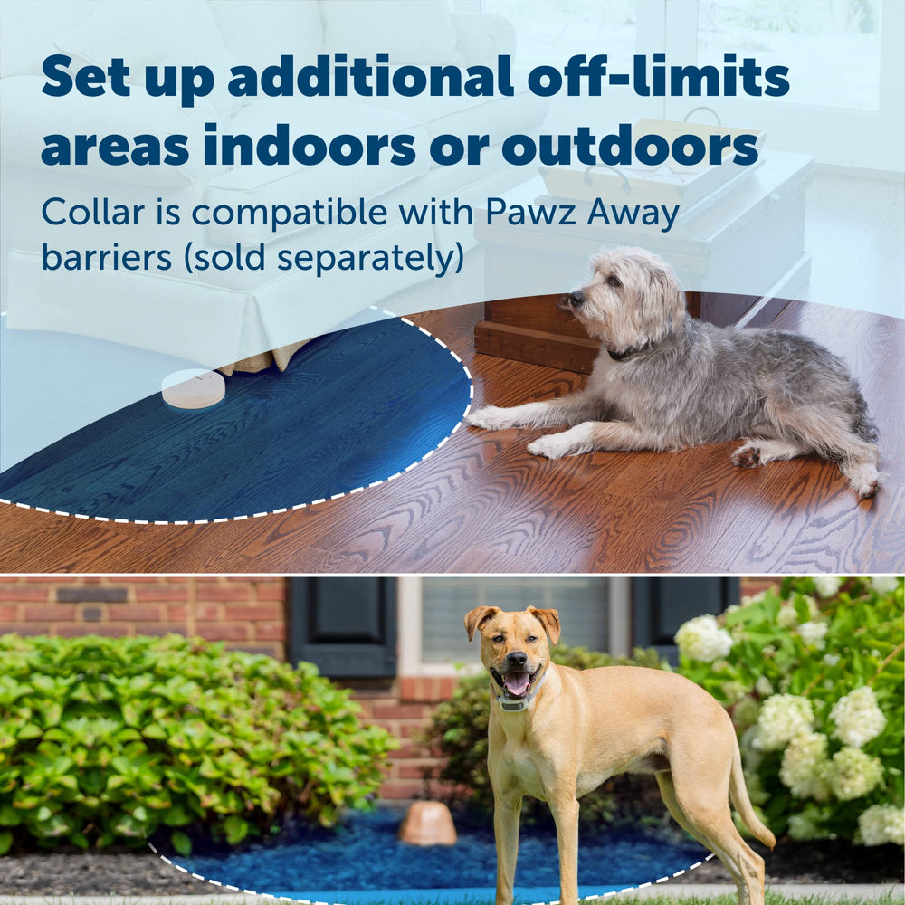 PetSafe PawZ Away compatibility demonstrates keeping pets from off-limit areas.