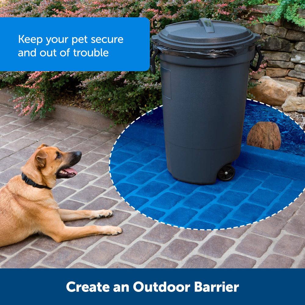 PetSafe Pawz Away receiver collar on a dog for boundary training