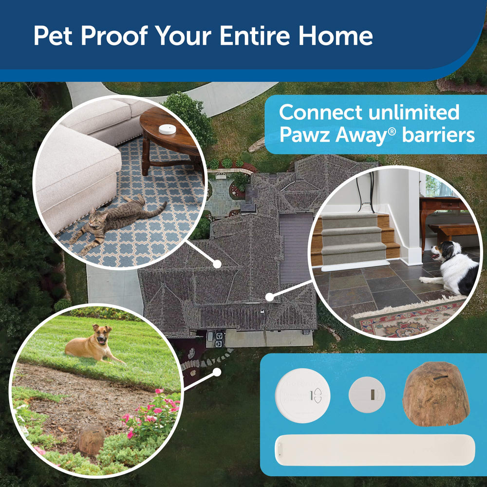 PetSafe customer care team available by phone, email or chat for support