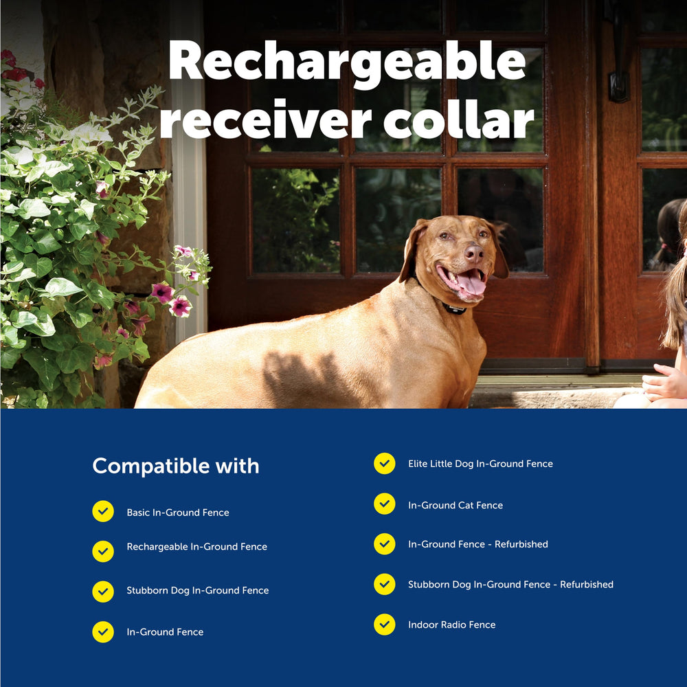 PetSafe receiver collar four-level correction—tone mode for gentle training options.