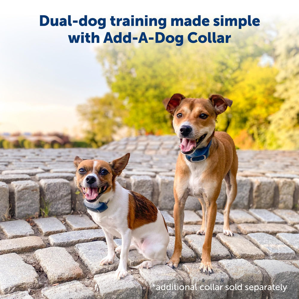 PetSafe rechargeable battery dock charges both remote and collar quickly.