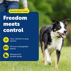 PetSafe remote spray trainer in action with a dog using mode options for sensitive dogs