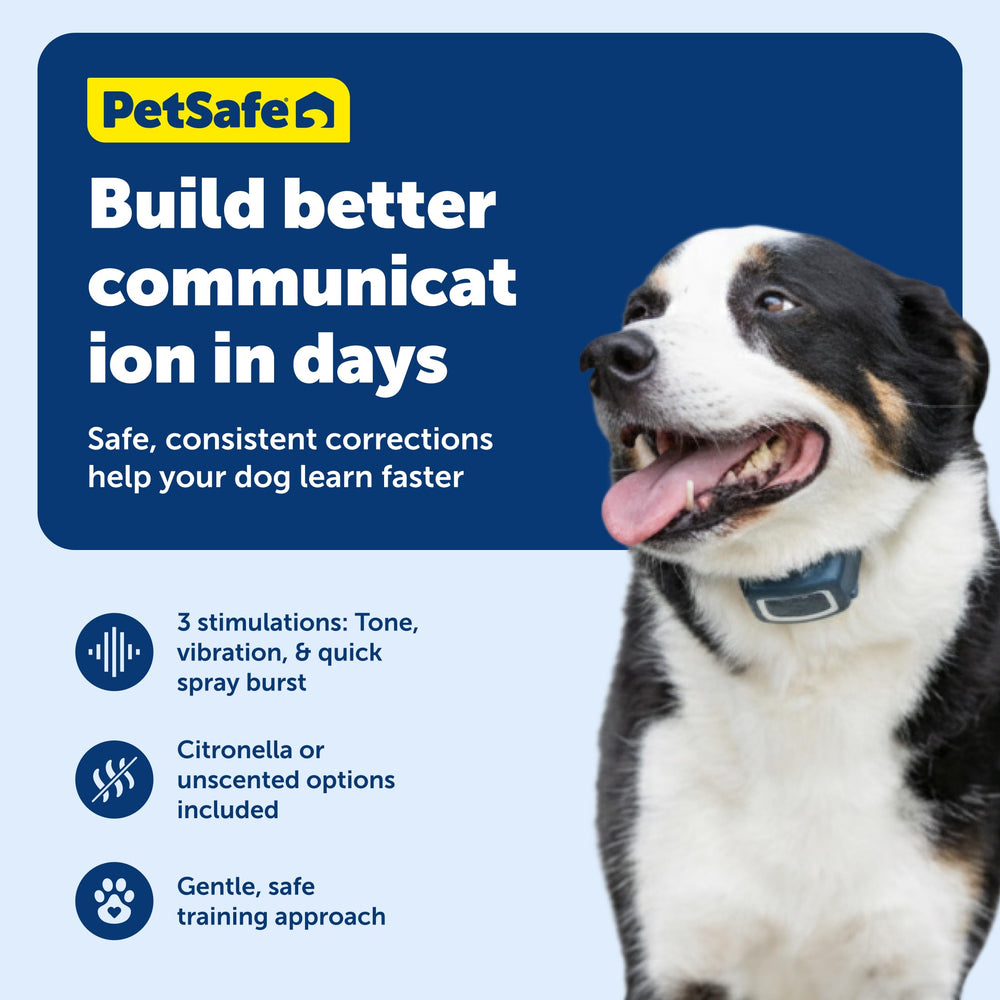 PetSafe unscented spray cartridge ready for distraction-free reminders during training