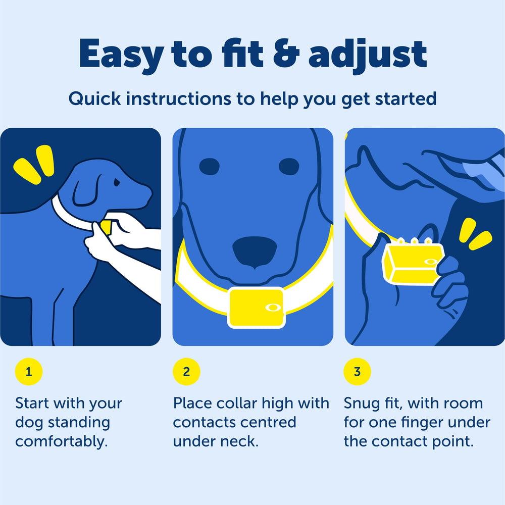 PetSafe Remote Trainer: 100-yard range diagram to plan training space.