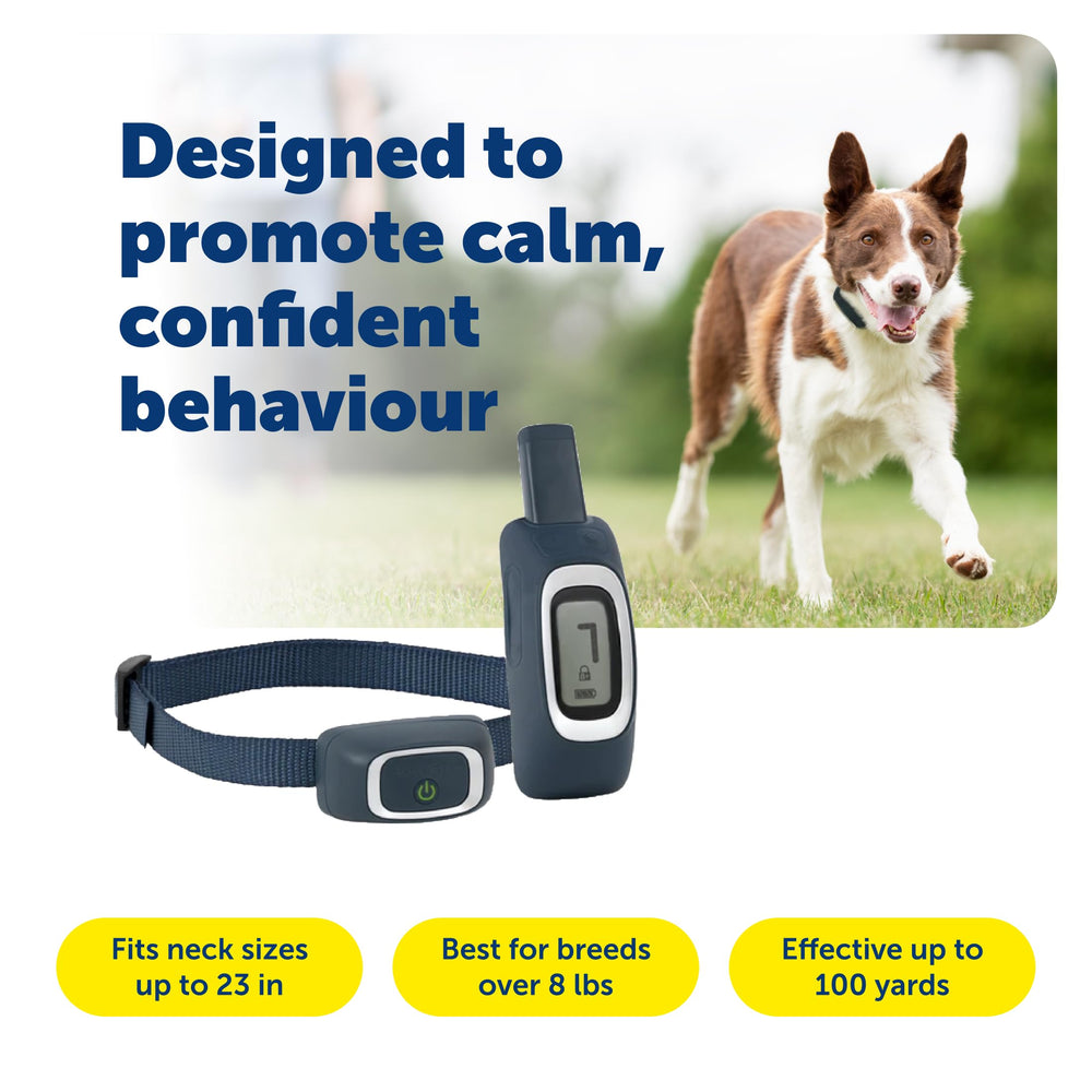 PetSafe Remote Trainer: collar on dog ready for consistent correction cues.