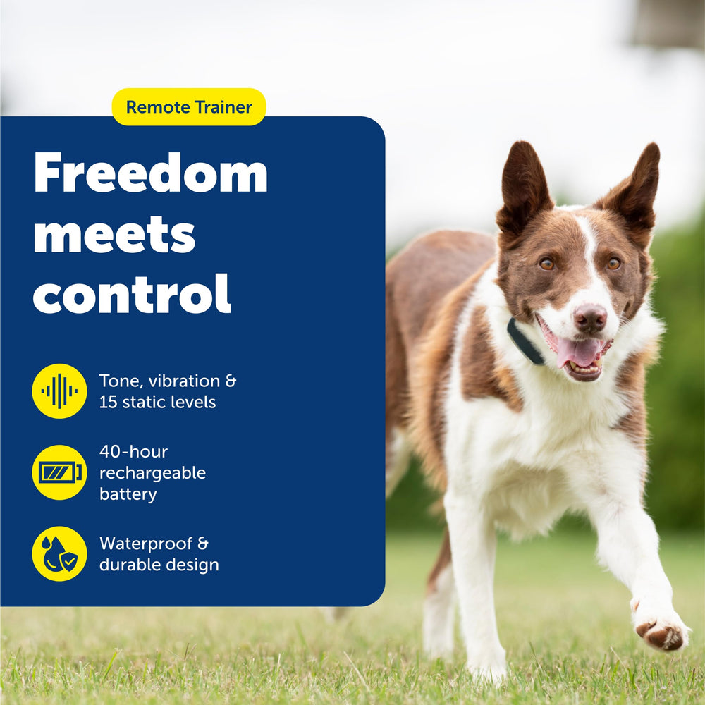 PetSafe Remote Trainer: digital display shown for quick, at-a-glance training.