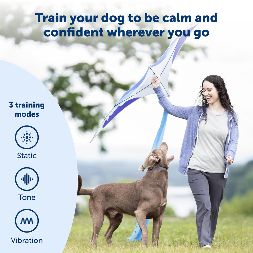 PetSafe remote trainer ergonomic buttons show tactile controls.