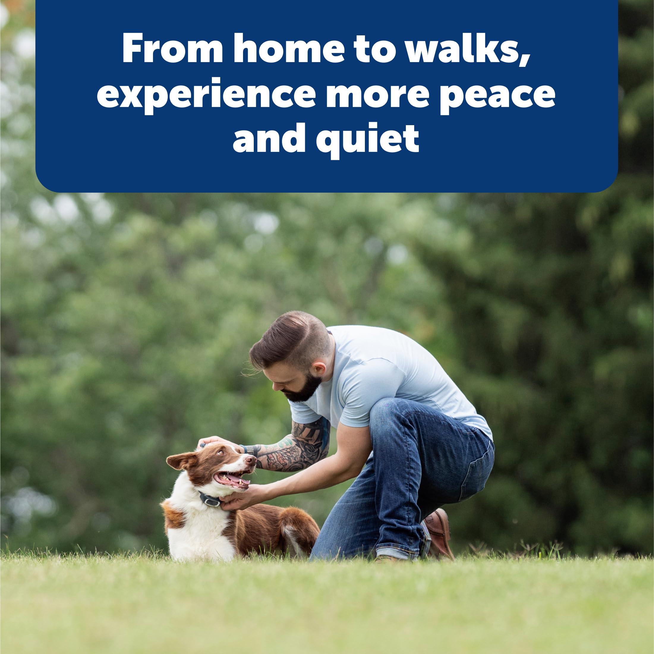 PetSafe Remote Trainer: compact remote with easy-to-use button layout for training.