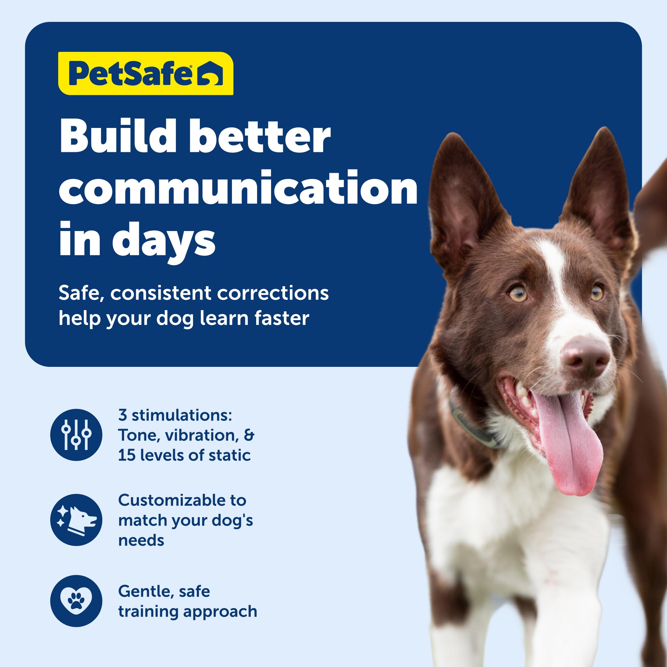 PetSafe Remote Trainer: waterproof collar ready for puddle-jumping sessions.