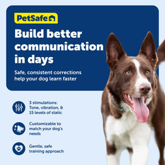 PetSafe Remote Trainer: waterproof collar ready for puddle-jumping sessions.