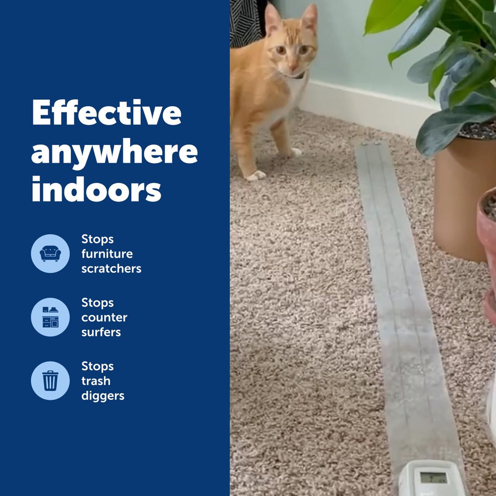 PetSafe ScatMat available in five sizes to fit spaces.