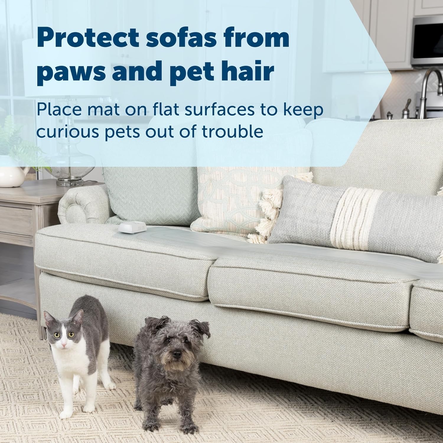 PetSafe ScatMat on sofa helps keep pets off furniture