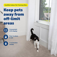 PetSafe ScatMat LCD controller shows modes and battery status for training sessions.