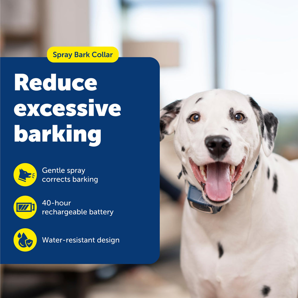 PetSafe spray cartridges citronella and unscented provide scent-based redirection for calmer training.
