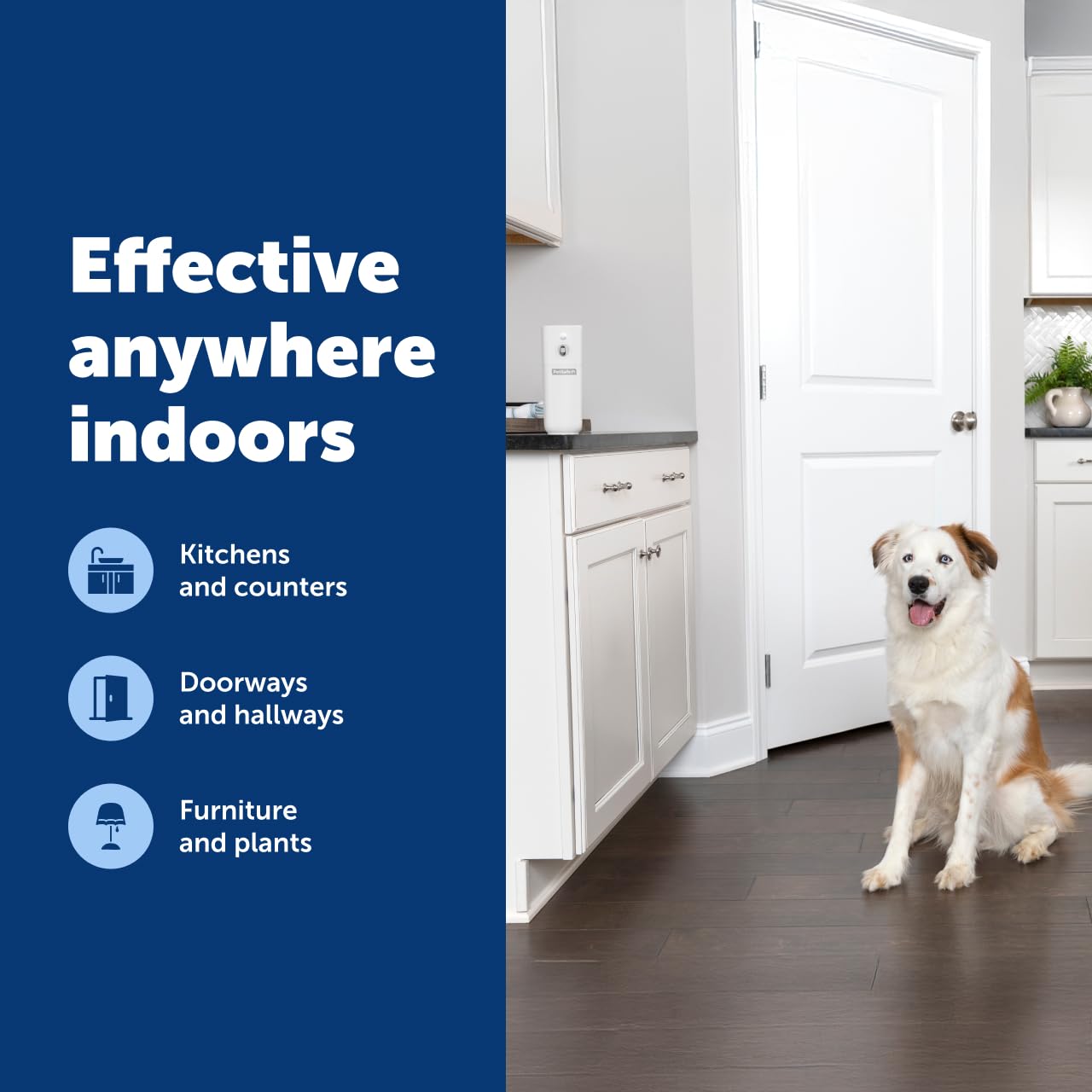 PetSafe SSSCAT compact cordless design fits countertops and desks.