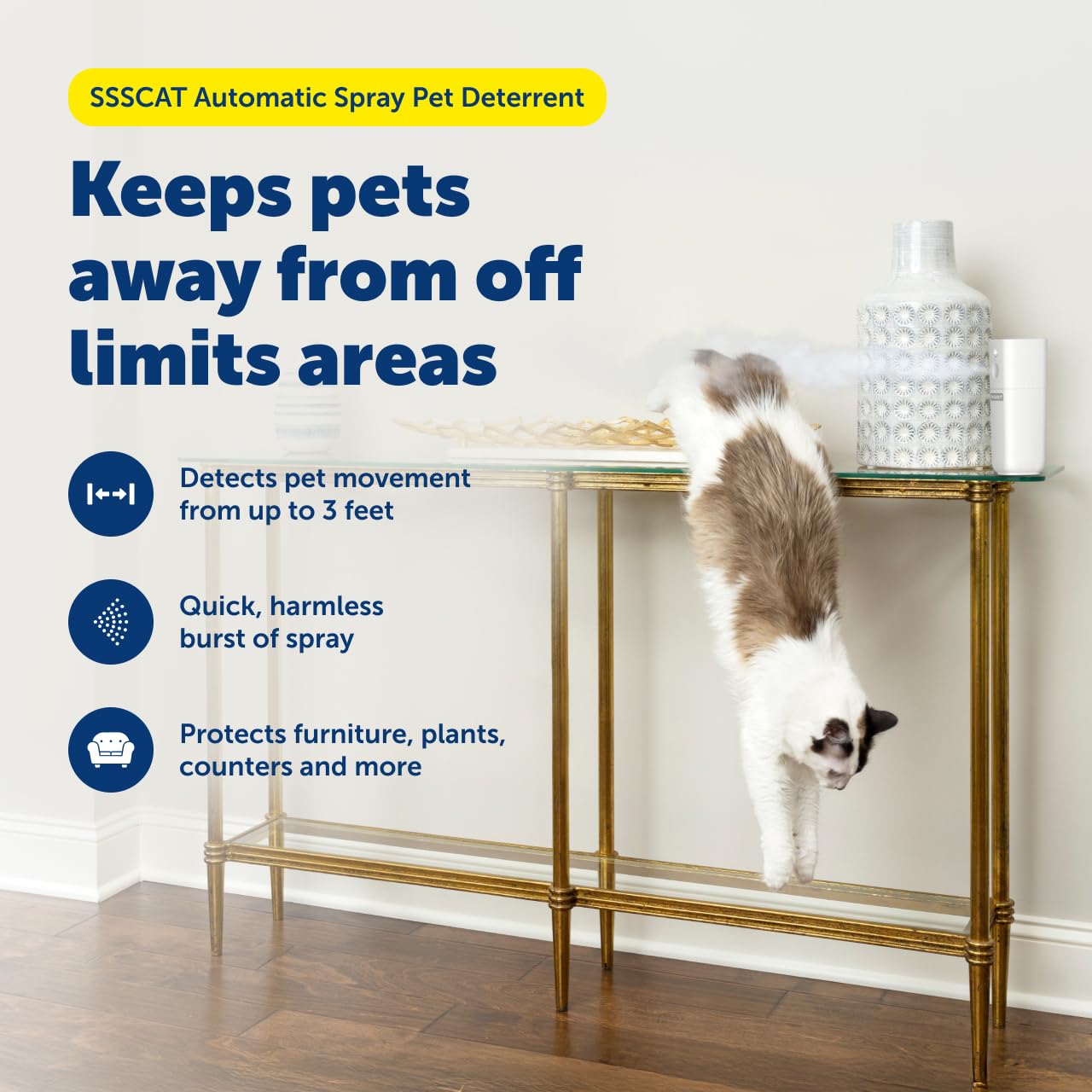 PetSafe SSSCAT motion sensor demonstrates three-foot detection range in action.